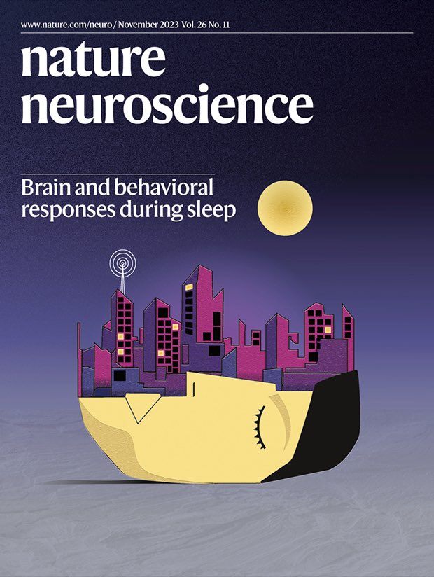 ¡Dormir no es solo un descanso tranquilo! 💤 Según Türker y su equipo, ¡puedes hasta sonreír o fruncir el ceño mientras duermes! 😴 ¿Quién dijo que el sueño era solo desconexión? La mente nocturna tiene su propio show. 🌙 

⚙️ nature.com/neuro/volumes/…