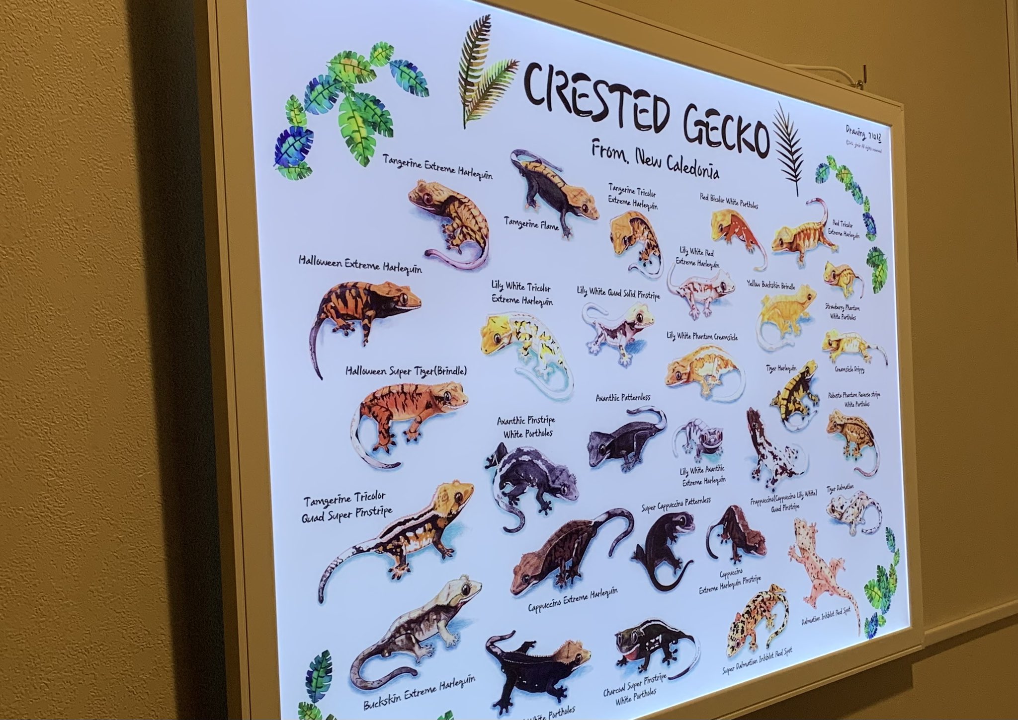 さ*猫様 東京↔︎沼津（裏　東京↔︎浜松）行き先看板 TinyKitten🎃 on X