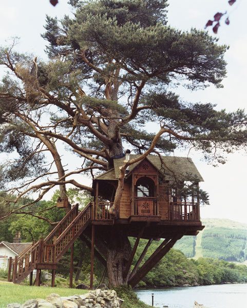 JasonAMyers's tweet image. Tree House Lodge, Loch Goil, Scotland #TreeHouseLodge #LochGoil #Scotland julianagreen.com