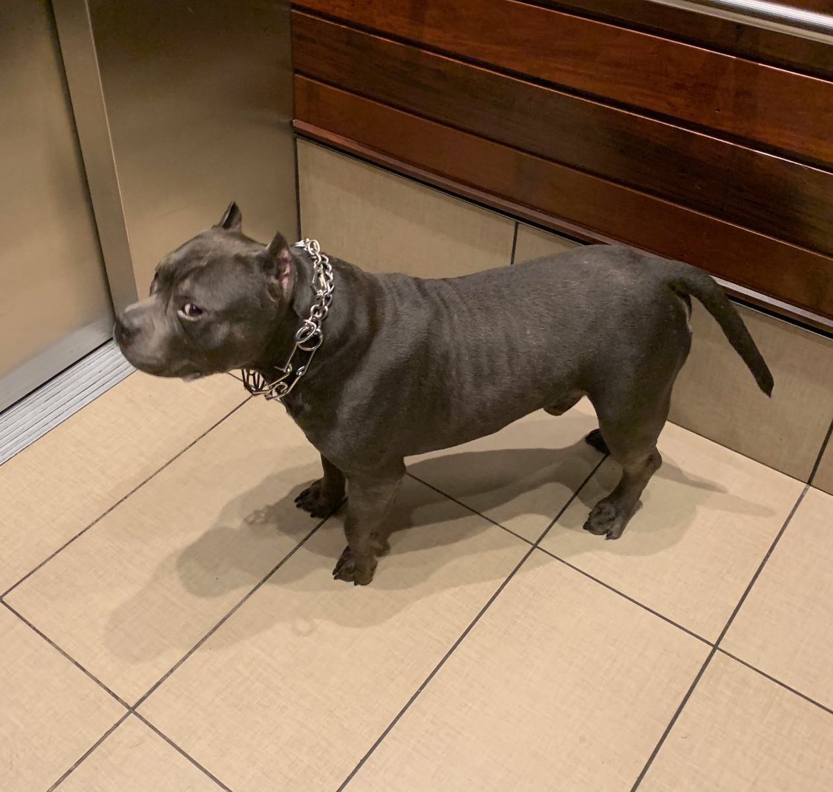 groo_evo's tweet image. MY top kpop releases this year (no particular order)