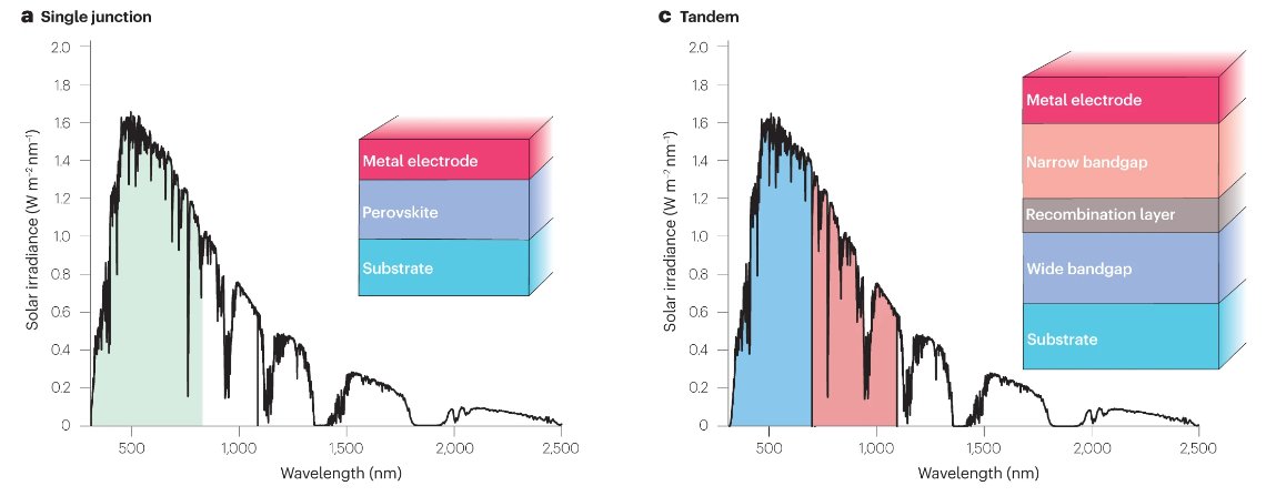 NatRevMaterials tweet media