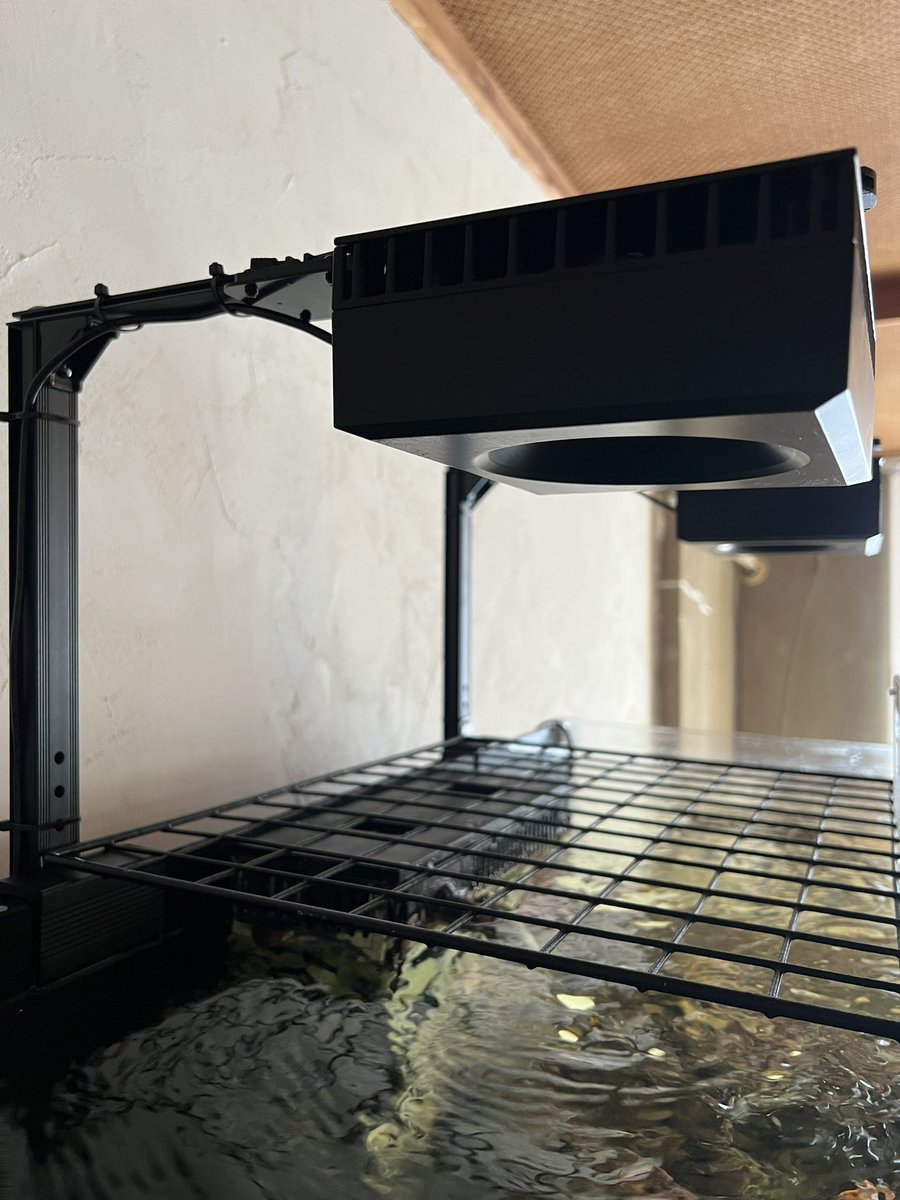 iba33Toshikun's tweet image. 引越しました。
これを機に水槽上部をスッキリさせたくて、スタンドアーム(サブデザイン)で
ライトを固定。
純正品ではないですが、お値段も純正品の半分くらいだったので良かったかな
あとは、耐久性はどうか

#サブデザイン
#reefled
#スタンドアーム