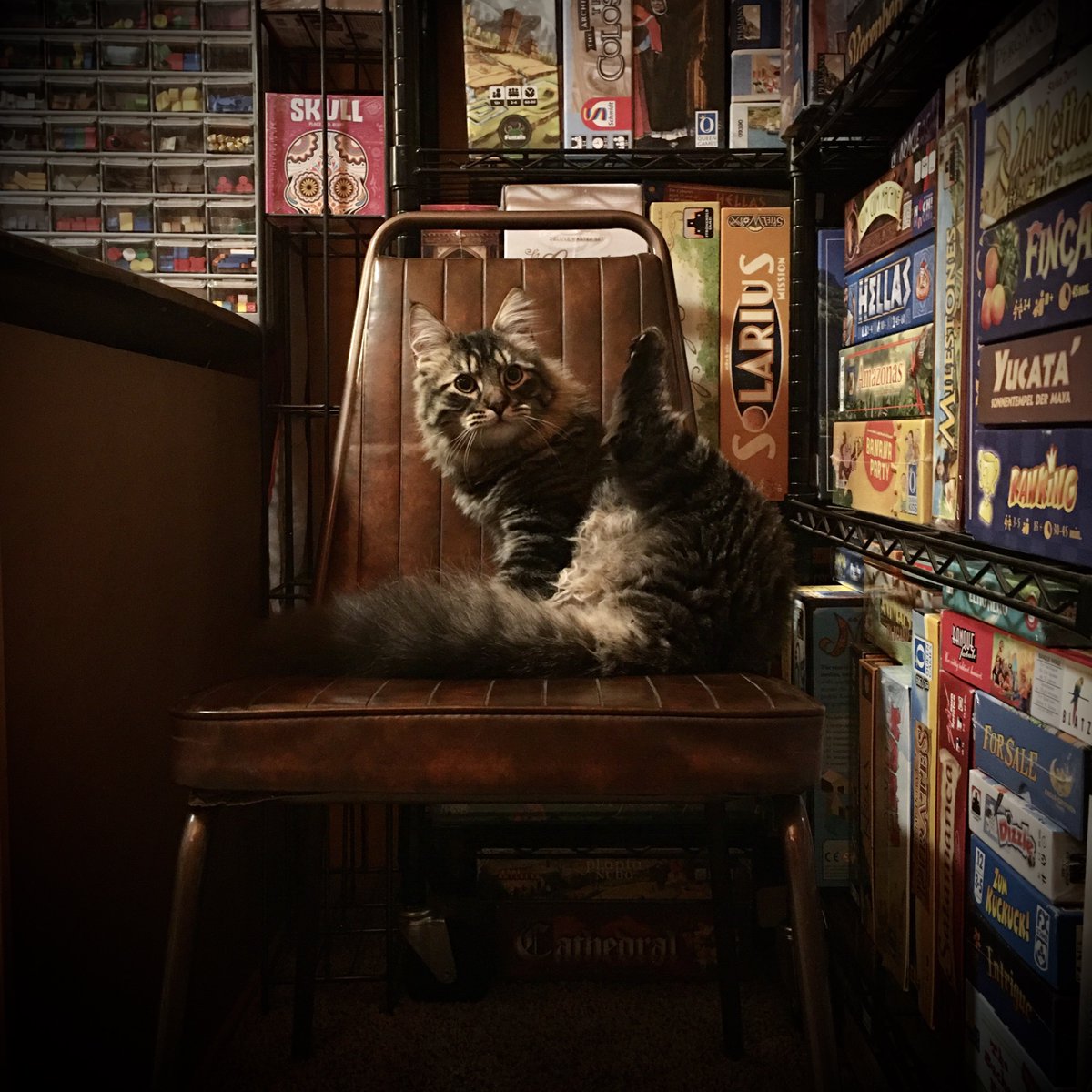 Jonny Pac 🤠 tweet media