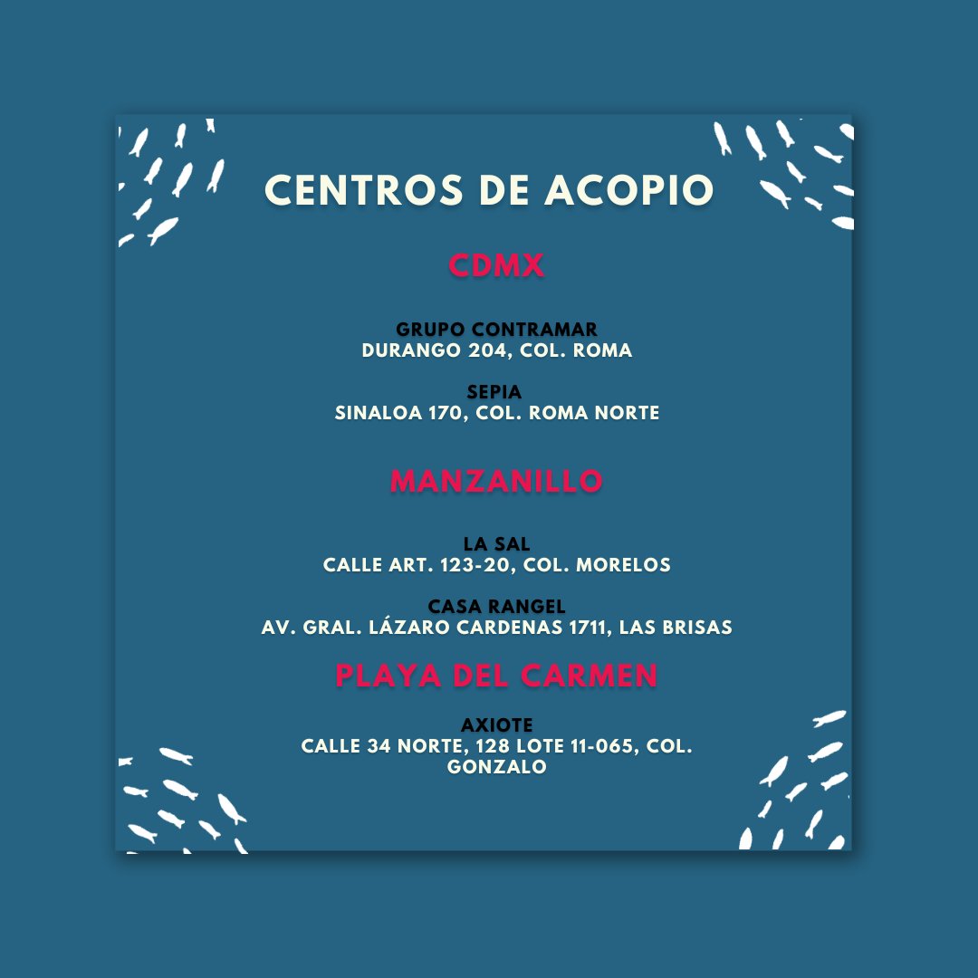 ¡#Acapulco nos necesita! Estos son algunos de los #Embajadores de @PESCACONFUTURO que han abierto sus restaurantes como Centros de acopio para llevar ayuda a #Acapulco y sus comunidades. 

¡gracias, chefs, por sus iniciativas!