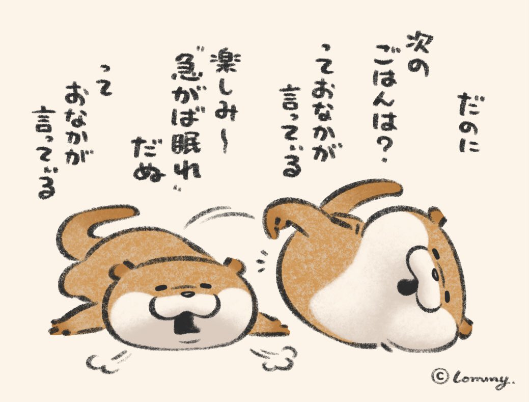 kawa_ii_uso's tweet photo. お腹が言ってるの🍽️
#カワウソ https://t.co/Rhu9JuFA4O