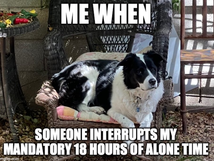 Sol_C_V's tweet photo. This is my meme, I call this being an introvert #sideeye #MCO335 https://t.co/lcD4UizTYG