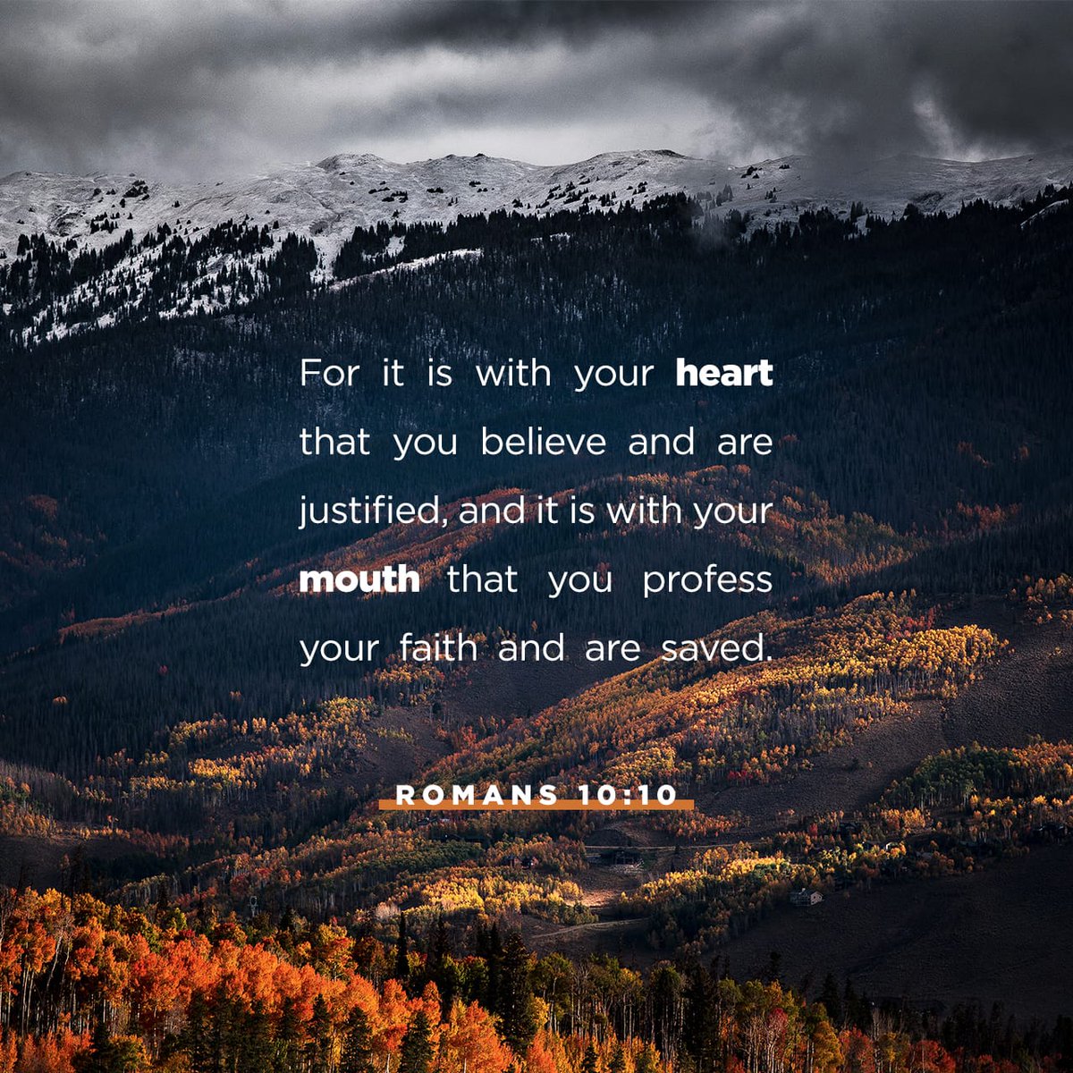 bible.com/verse-of-the-d…