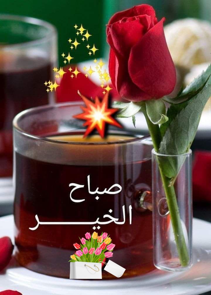 صباح يقطف 🌹
من بستاتين  السعادة  أجمل  الورود
أهديها لمن لهم  في  القلب  معزة  وفي  الروح  مسكن 
صباح  يملأ الأمل  للأرواح  التي  تصنع  لنا  من  الحياة  حياة 🌹

#صباح_الخير_والسعاده