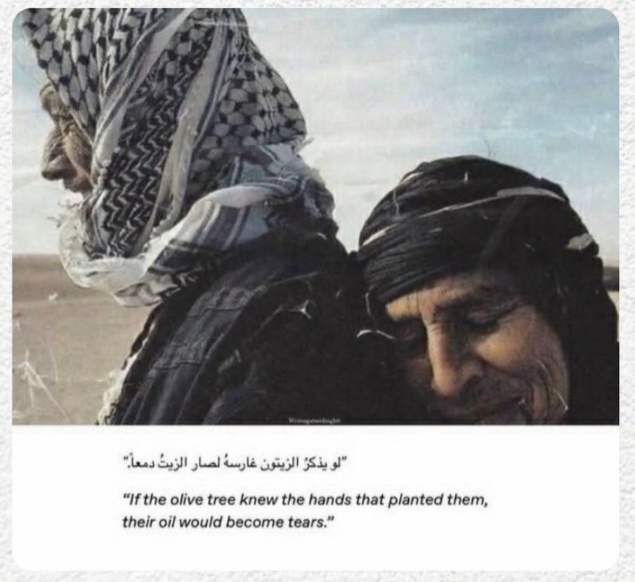 Munezza's tweet image. #FreePalestine