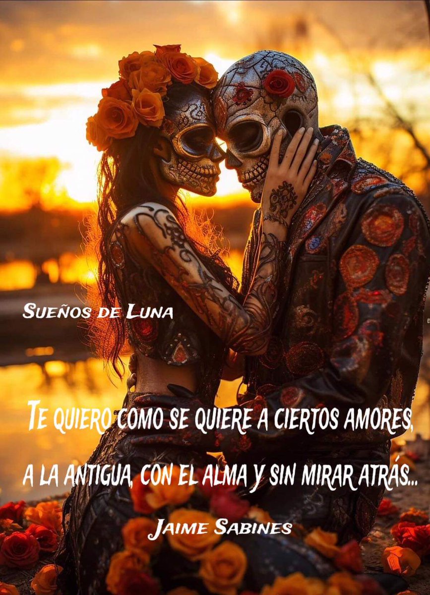 Nancy Guadalupe tweet media