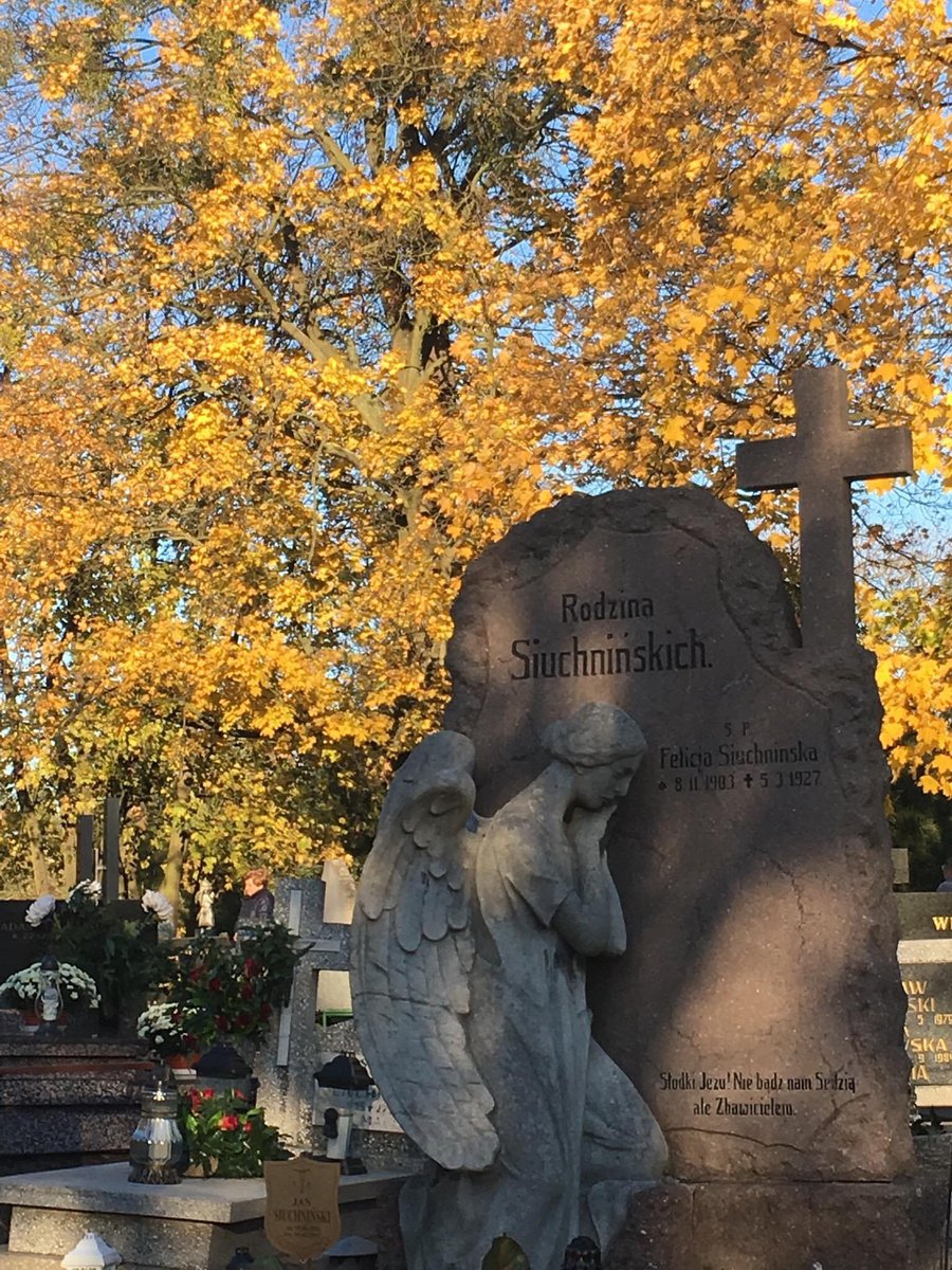 ADerewienko's tweet photo. #WszystkichŚwiętych
#AllSaintsDay
#ThisIsPoland 🤍❤️
#CatholicChurch
#Polska
#PolskieCmentarze
#PolskieNekropolie
#PamięćJestWażna https://t.co/z8ASGg7FOS