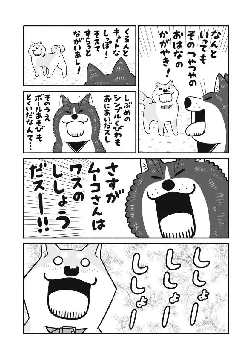 #犬の日 「いとしのムーコ」続編「だいすき!いとしのムーコ」よろしくね! 