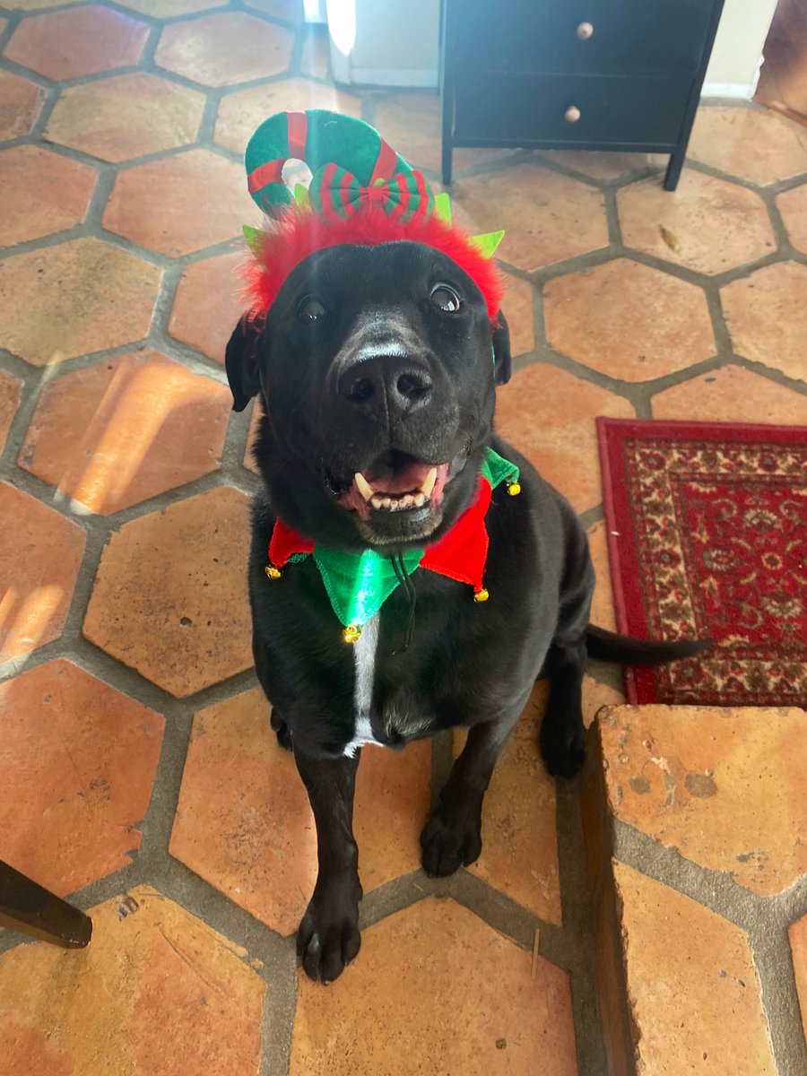 It’s late but Happy Halloween!