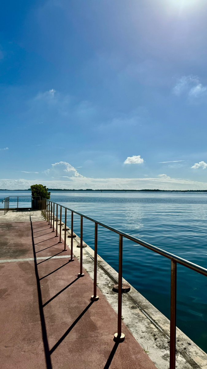 Hector Torres tweet media