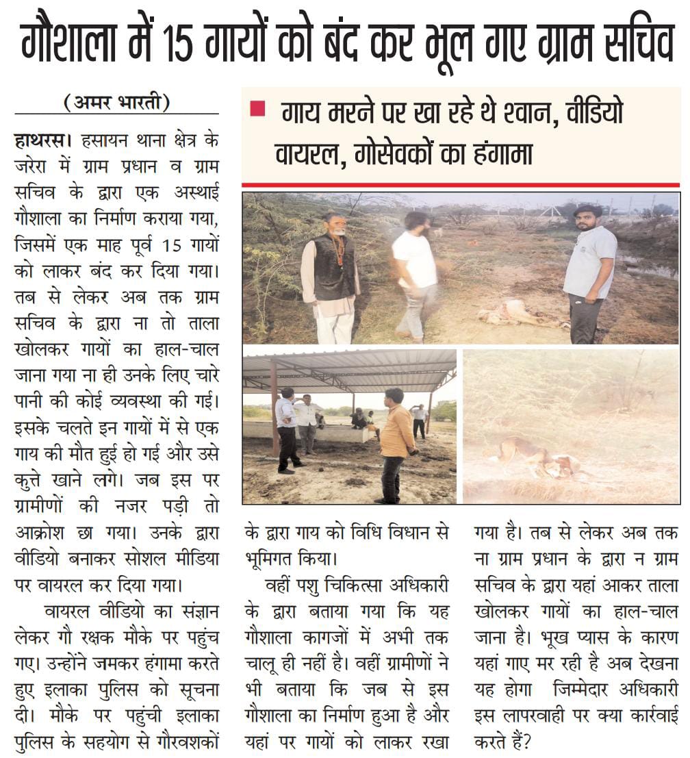 neerajchakrapan's tweet photo. @myogiadityanath @myogioffice
@ChiefSecyUP @CMOfficeUP 
@UPGovt @dm_hathras @diohathras @DoprupHathras @bjpjilahathras @yadavakhilesh 
#हाथरस जनपद में  मानवता को किया शर्मसार।गौशाला में गायों को बंद कर भूल गए ग्राम सचिव?भूख से तड़प कर मौत? आखिर ऐसे लापरवाहों पर कब होगी कार्यवाही? https://t.co/B3qRmyiIsw