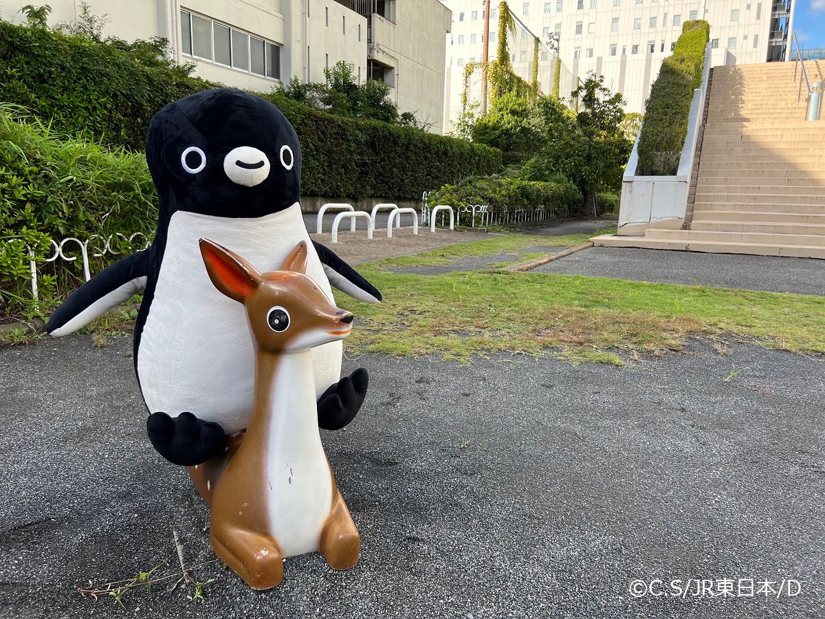 今日の昼休みは、バンビちゃんと遊びました😊 そして！ ／ 「Suicaの