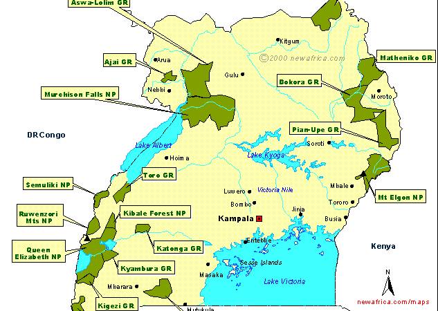 Did you know! Uganda has got 10 National Parks; 12 Wildlife Reserves; 5 Community Wildlife Management Areas; and 13 Wildlife Sanctuaries