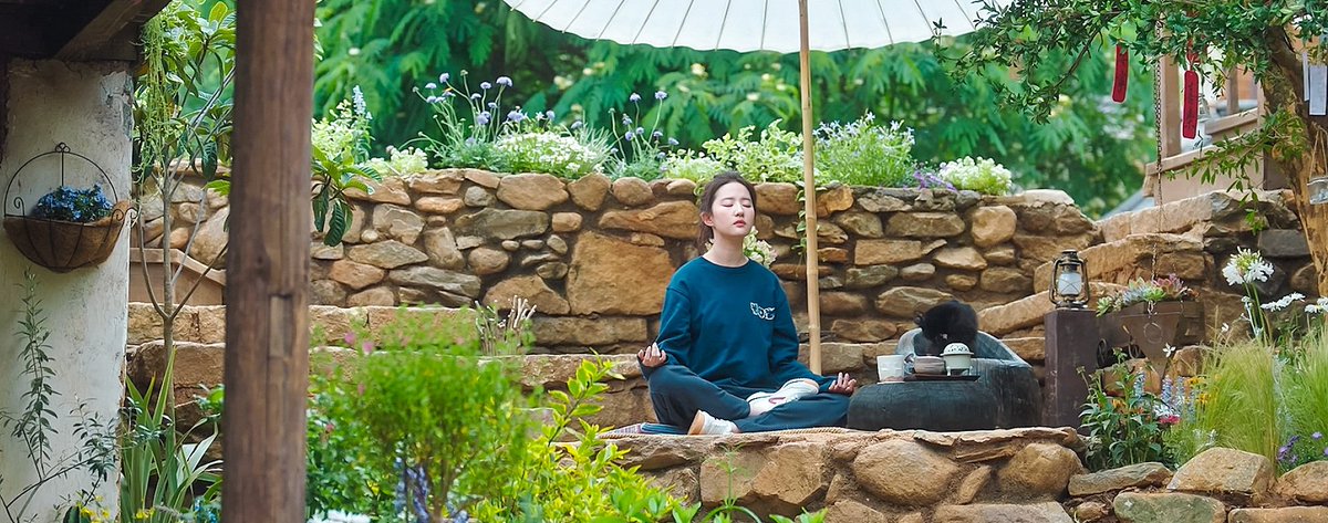 the searching for peace and discover a meaningful way of life.

🌳🌿🍏🌱🍃―#meetyourself #去有风的地方 #liuyifei #lixian