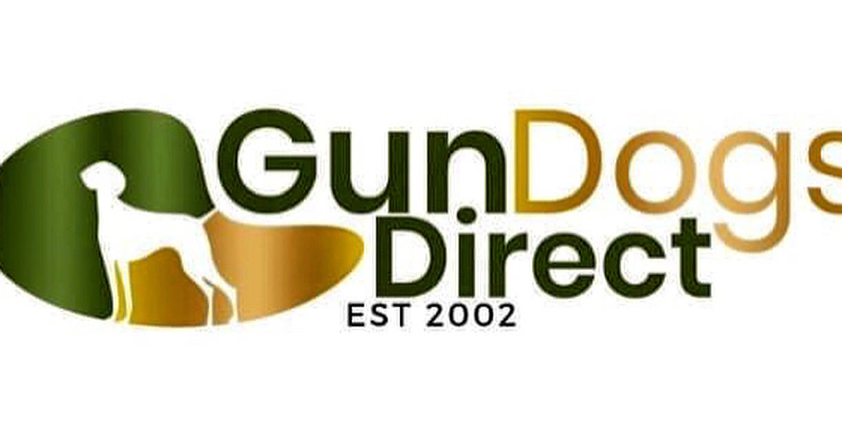 Gun dogs store direct
