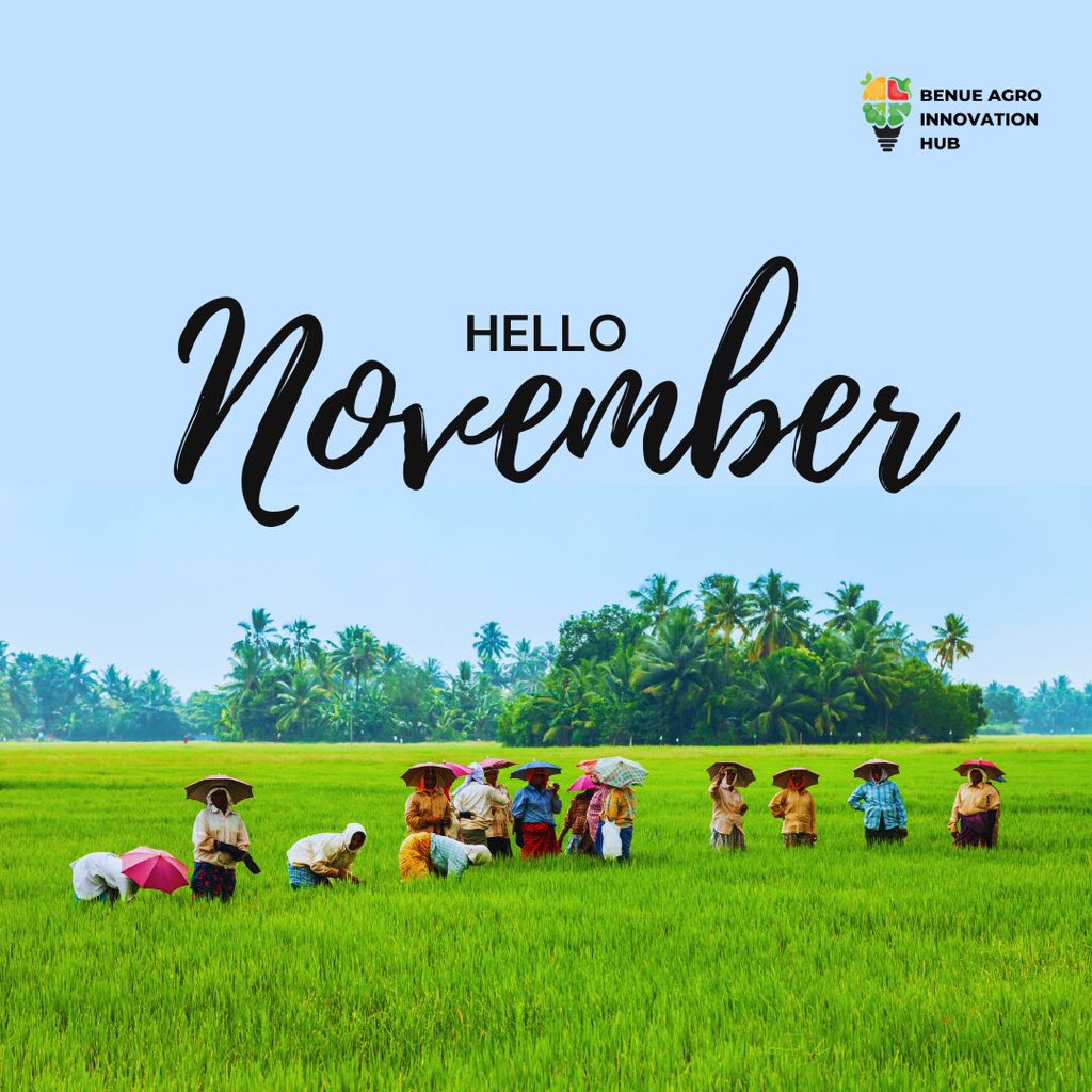 Hello, November! Huge shoutout to our amazing farmers for their hard work this harvest season. As we reap the harvest, remember to start planning for next farming season 🚜🌾 
#HarvestSeason 
#FarmersRock 
#SustainableFuture 
#baihub
#FutureFarming 
#SowTheSeeds 
#AgriSuccess