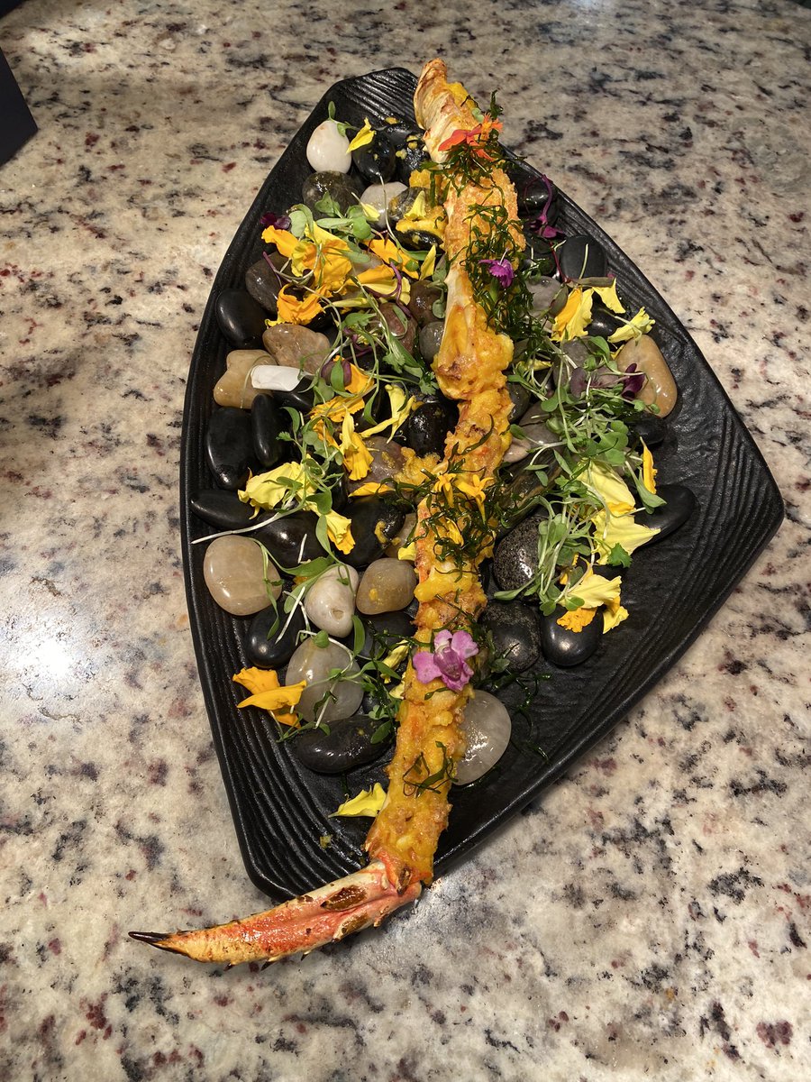 ROBERT S T E L M A C H U K tweet media