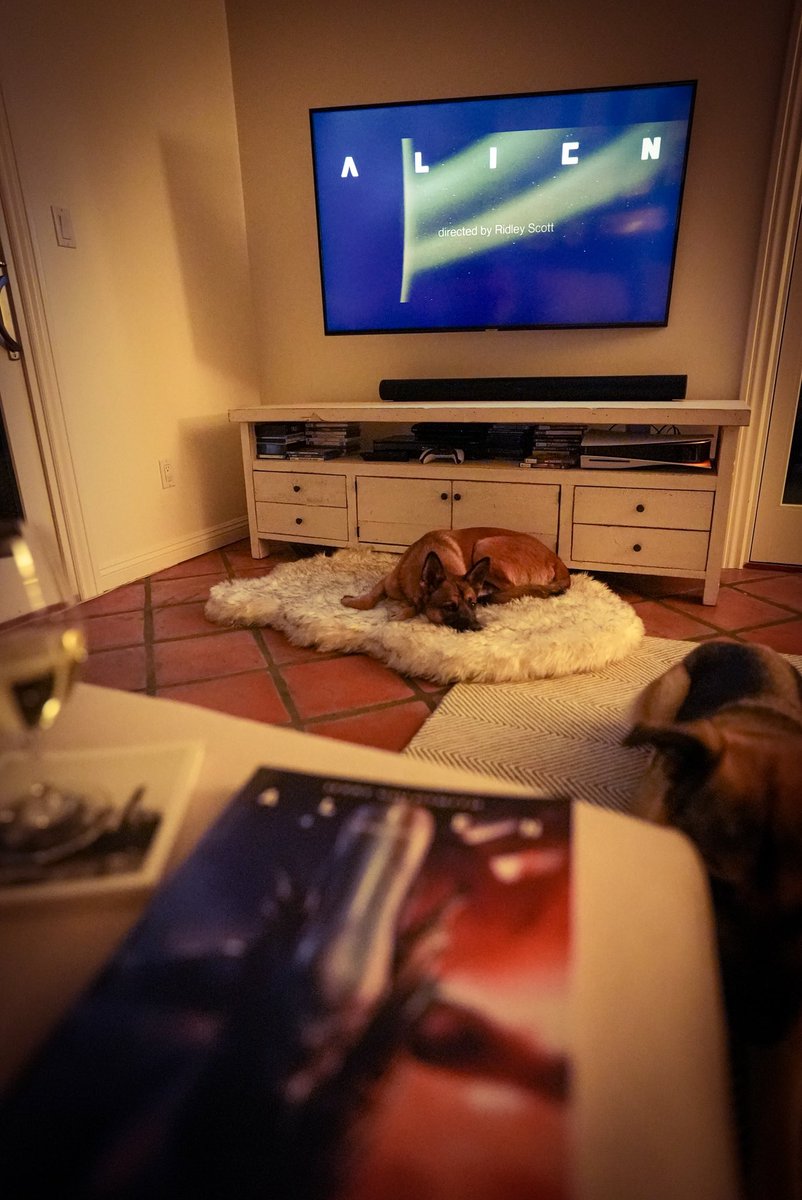 brenneisenmusic's tweet photo. Watching Alien tonight with the boys! 🎬 Come for the xenomorphs, stay for Jerry Goldsmith’s legendary score. Trying my best to focus on the music without getting too engrossed in the film. 🎶 #alien #halloweenfamilyfun #composer #jerrygoldsmith #scorestudy #dogsofinstagram https://t.co/Lc5W45eTKX
