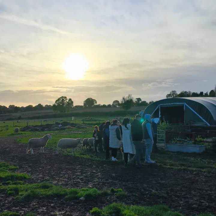 fars_sanctuary's tweet photo. 🥳 OPEN DAY UPDATE 🥳
The pennies have been counted &amp; we're thrilled to let you know that a whopping £2,920 was raised at our Halloween #FARSOpenDay 🎃👻🙏

We hope you enjoyed your visit &amp; meeting the stars of the show – our rescued animals 🐑🐏🐖🐈🐔🐓

Pls come again soon 🤗! https://t.co/mysEVq0Izv