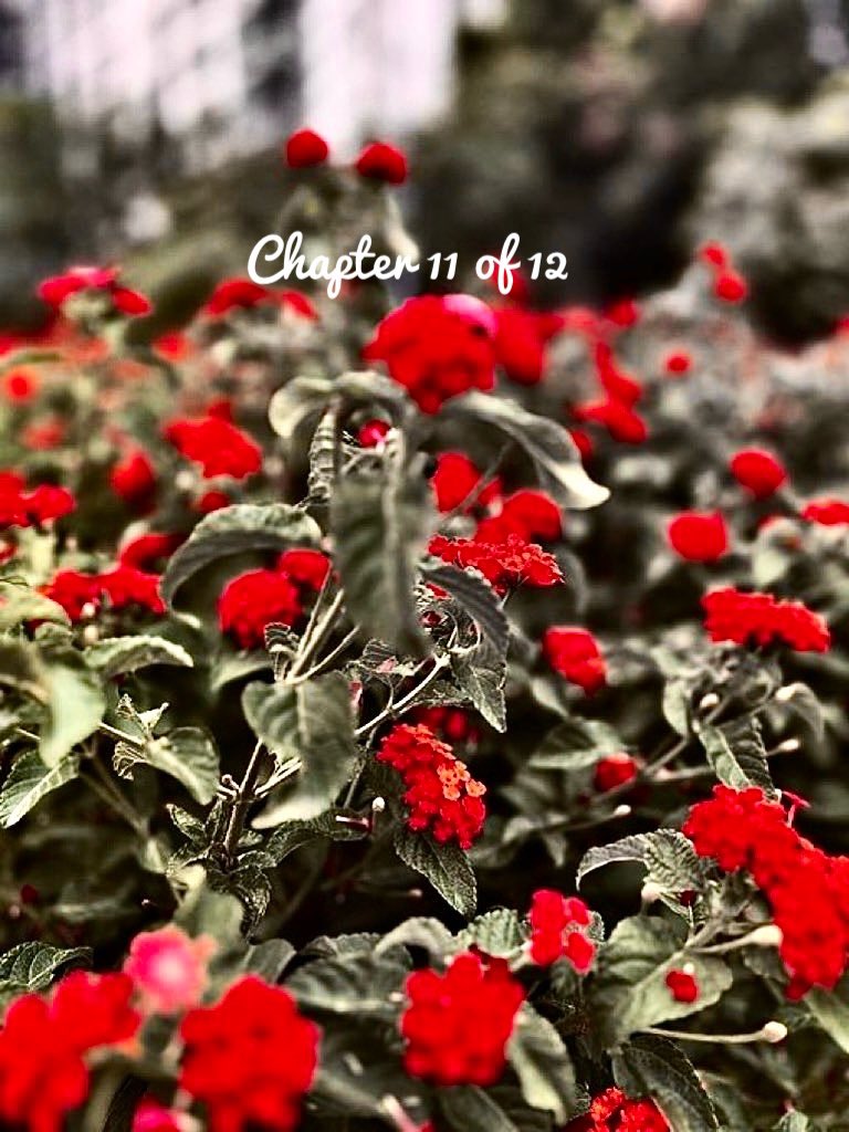 bellarosa000's tweet image. #HeaderUpdate 
Chapter 11 of 12

Hello November ❤️