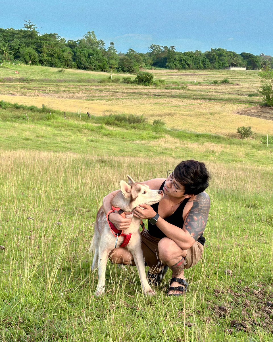 dreamboy_mo's tweet photo. good morning.☀️🐕 https://t.co/ArDtY5Kl14