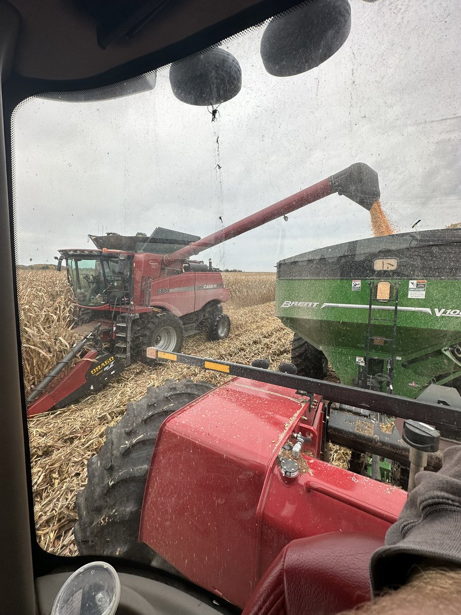 LocustwoodCF's tweet photo. We are thinking of buying a Gerringhoff Rota-Disc corn head… anyone have experience with them? pros and cons ? https://t.co/6brd8PkUbv