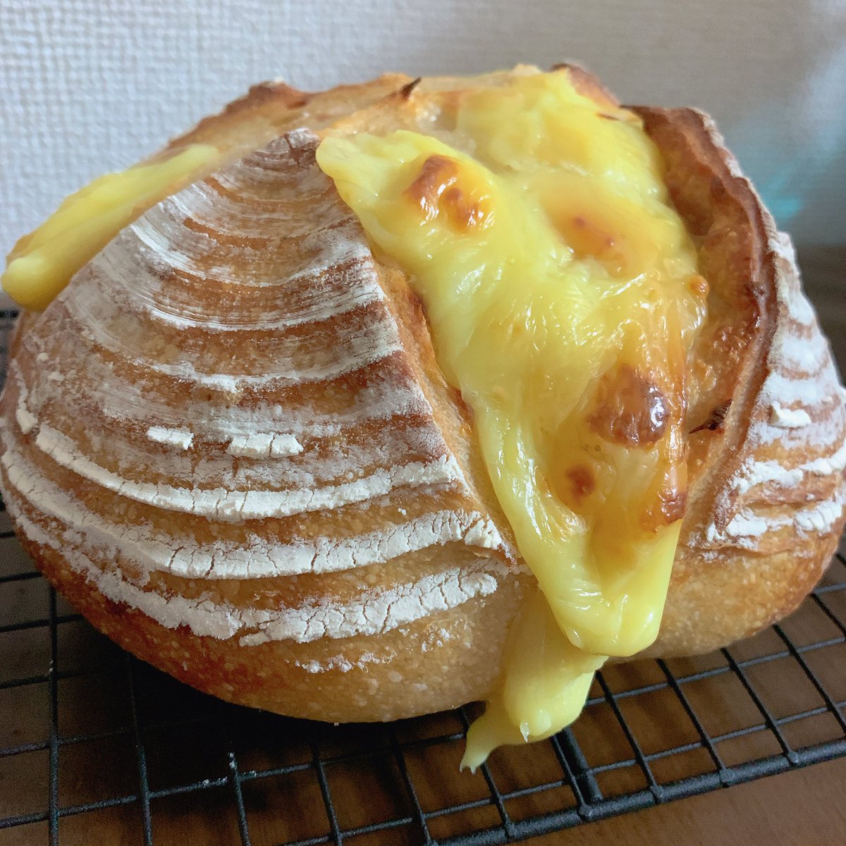 hotatepan_'s tweet photo. たっぷりチーズのカンパーニュ🧀
自家製レーズン酵母を使っているのでモチモチに✨チーズはたっぷり入れて溢れるように作りました♪

#パン焼きさん集まれ
#秋のハードパン入門 https://t.co/770HnJkSbq
