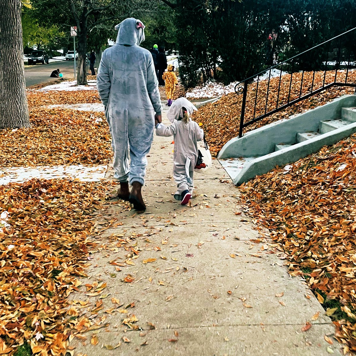 Kyle Clark tweet media