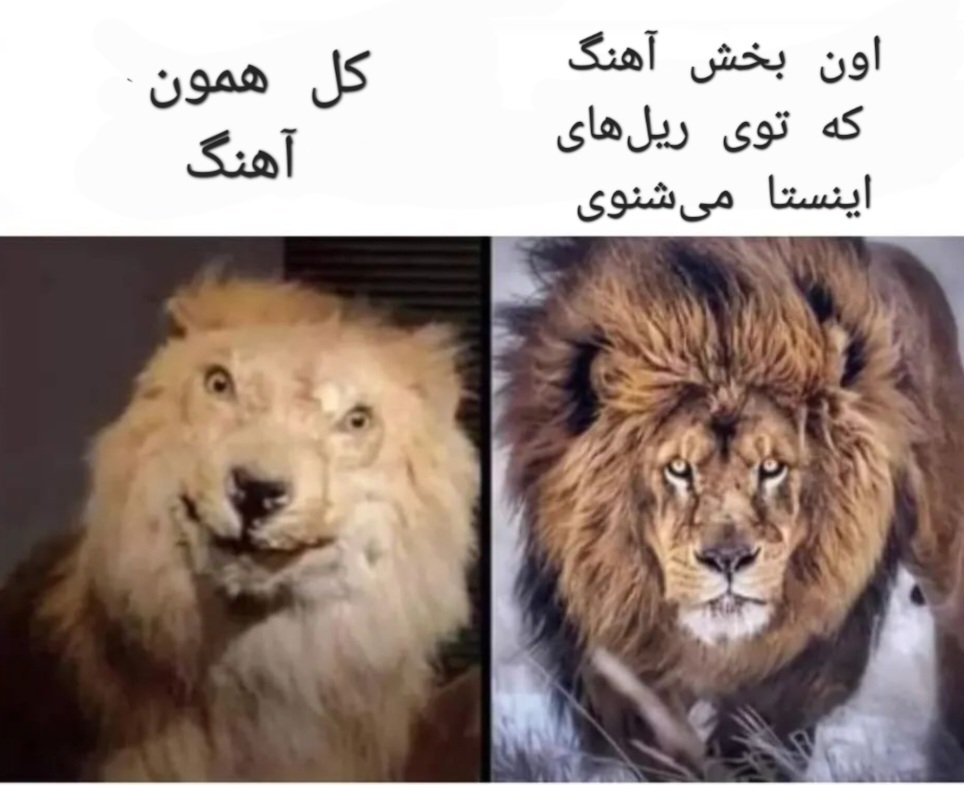 DetecPiyJeytive's tweet photo. میم با محتوای کاملا اثبات شده و حق! https://t.co/XjDzPxjUBl