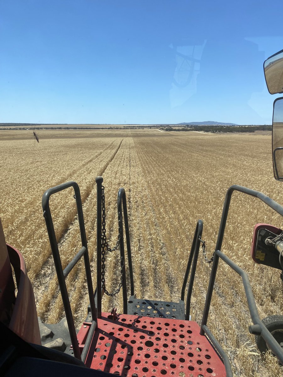 Ashley Butterfield tweet media