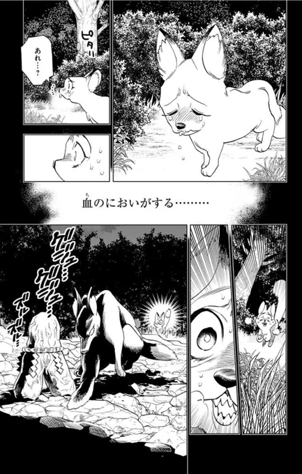 (4/5)