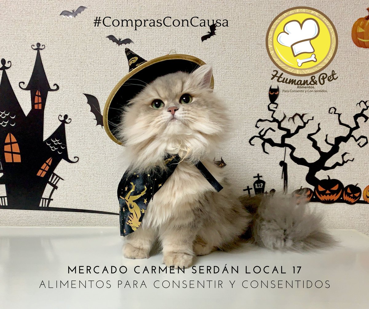 Human&Pet Alimentos tweet media