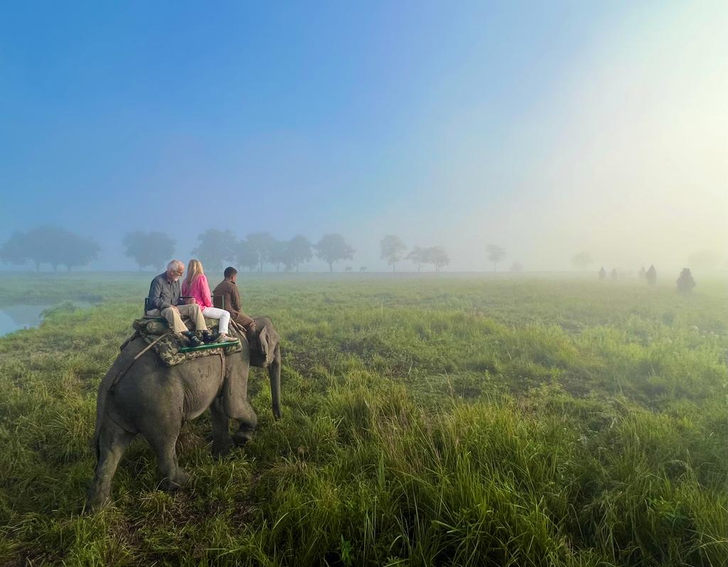 Embracing the divine presence of Lord Ganesha as we kickstart the elephant safari season! 🐘✨ May his blessings guide our journey and fill it with joy and wonder. Here's to a season filled with amazing wildlife encounters! #ElephantSafari #WildlifeAdventures #BlessingsOfGanesha