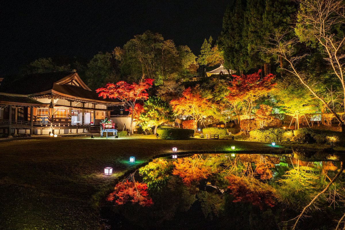 紅葉、見頃を迎えております。
今夜は、NHK盛岡「おばんですいわて」に登場します。
紅葉ライトアップ生中継。18:30頃です。
ぜひ、ご覧ください。
#えさし藤原の郷 #お休み処えさし藤原の郷 #岩手県 #奥州市 #奥州市江刺 #紅葉 #ライトアップ #nhk #おばんですいわて