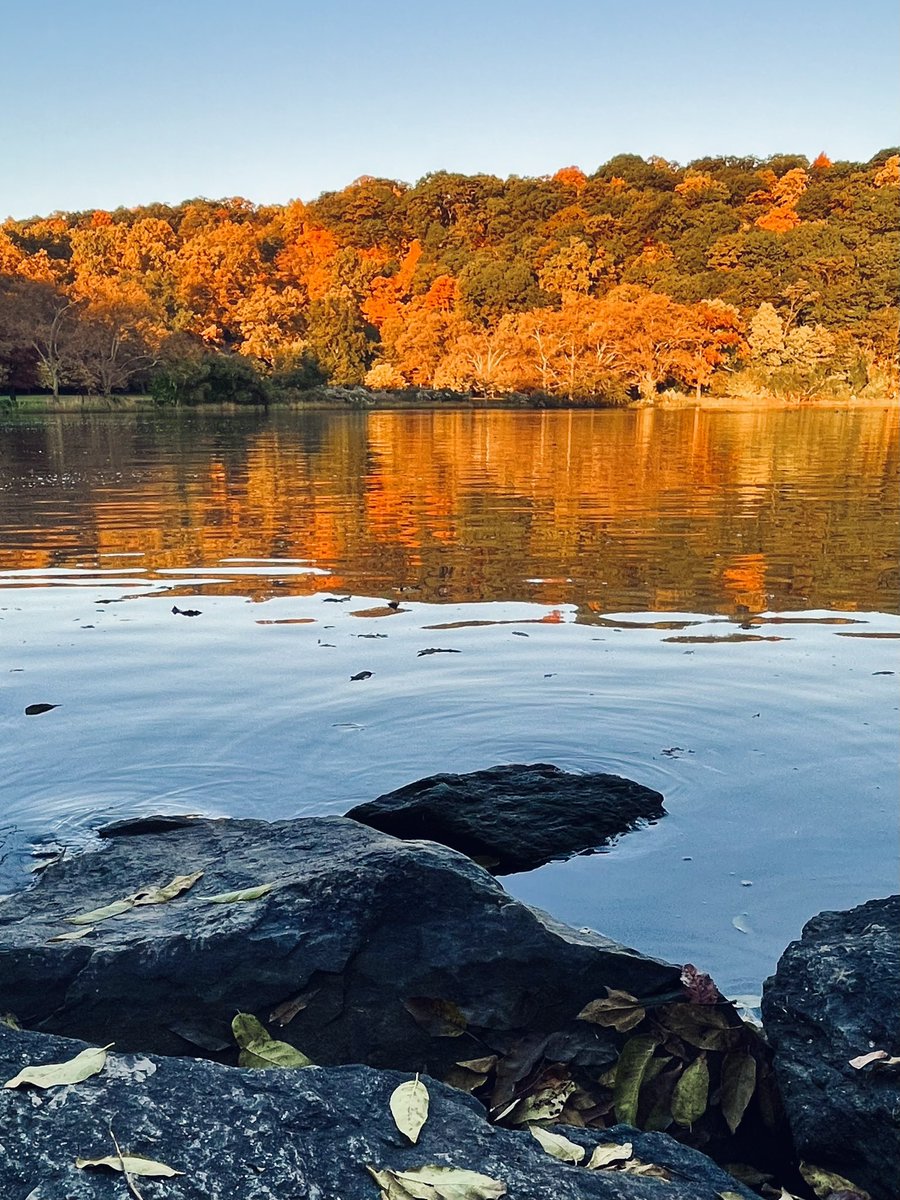 Varied Viewpoints #300: Autumn Destination. #autumnvibes🍁 #autumn #muscotamarsh #reflection #water #landscapephotography #inwoodhillpark #nycparks #Inwood #manhattan #newyork #newyorkcity #iphone13 #shotoniphone #iphonephotography #photoaday #photoadayoct #photoadayoctober