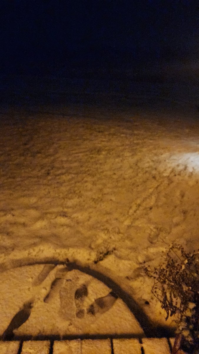 &amp; it's only Halloween.  Lol

Happy Halloween everyone :)