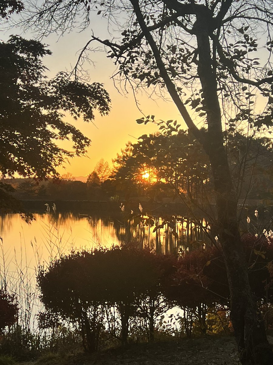 しふくのわふく-秋浴衣のススメ・ゴシックハロウィン-

秋の蓼科湖。5月魔女展に出せるの撮れるかなと思ったけど紅葉と夕陽が美しくてずっと湖畔で撮っちゃったから5月に展示するにはイマイチだな😓
