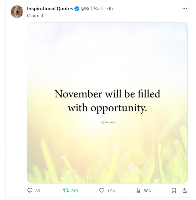 Carina Avdeev tweet media
