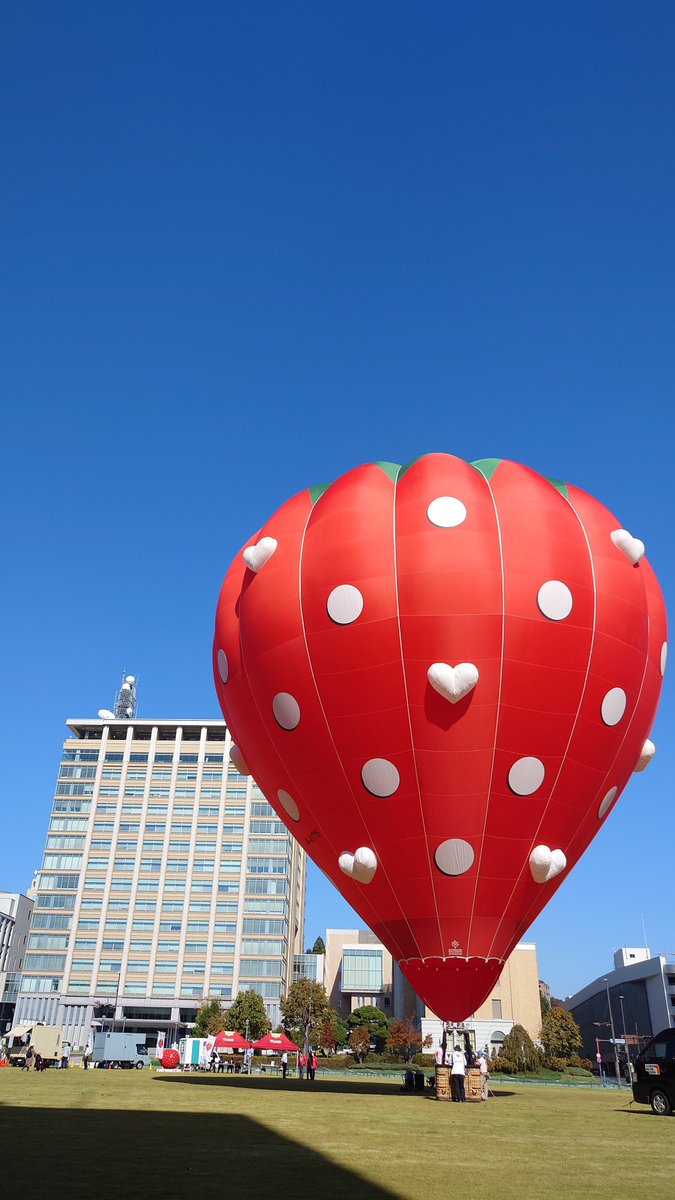 栃木県庁前にイチゴの熱気球❗初めてだそう。

12月1日から開催の#熱気球ホンダグランプリ　#栃木市・渡良瀬バルーンレース　開催PRでした🍓