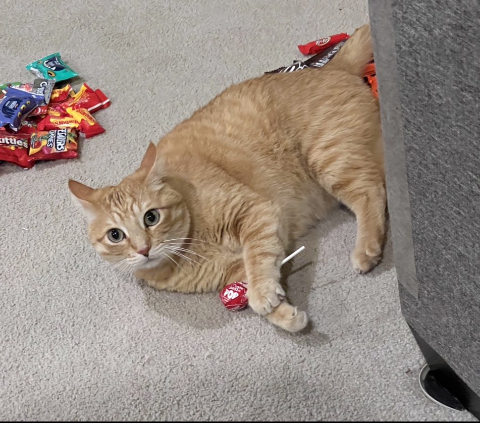 Happy Halloween!