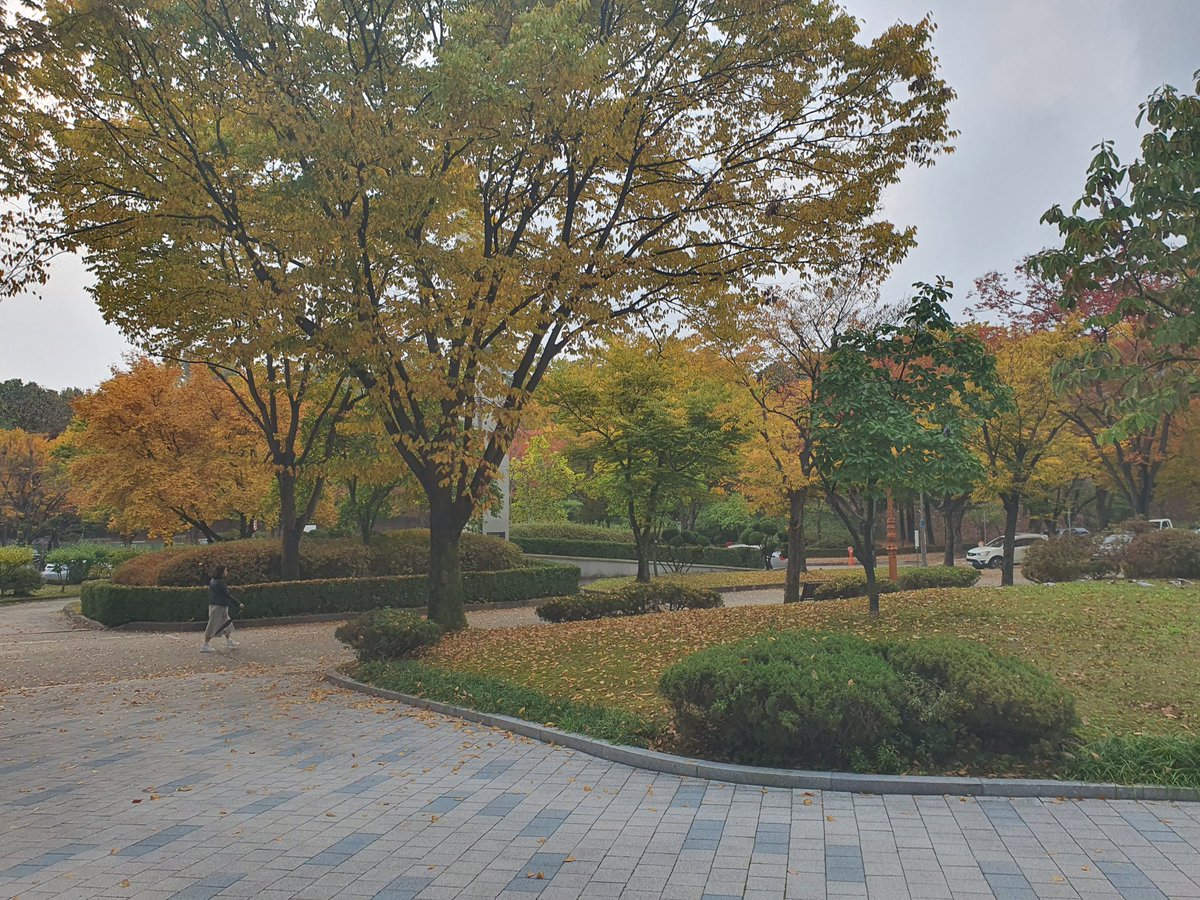 Physics_Budhi's tweet photo. Autumn Fall 2023! 
#autumnfall #AutumnVibes #autumnleaves #AutumnPhotography #SungkyunkwanUniversity #chaltechalte #autumnfall2023 https://t.co/4hdr0e9kZq