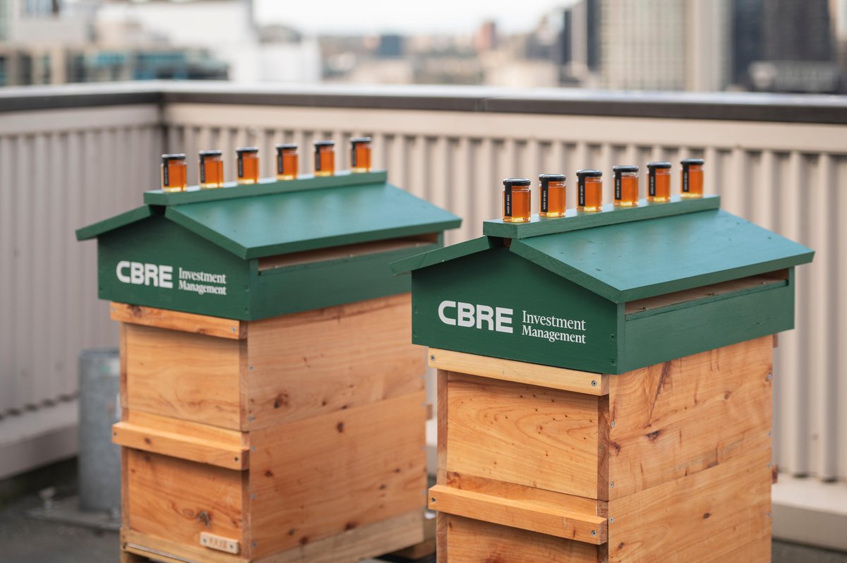 We recently welcomed 80,000 #bees to their new home on the rooftop of South Wharf Tower! Stay tuned for the launch of our live rooftop #BeeCam soon to check out the beekeepers at work! 

#Sustainability #TenantEngagement