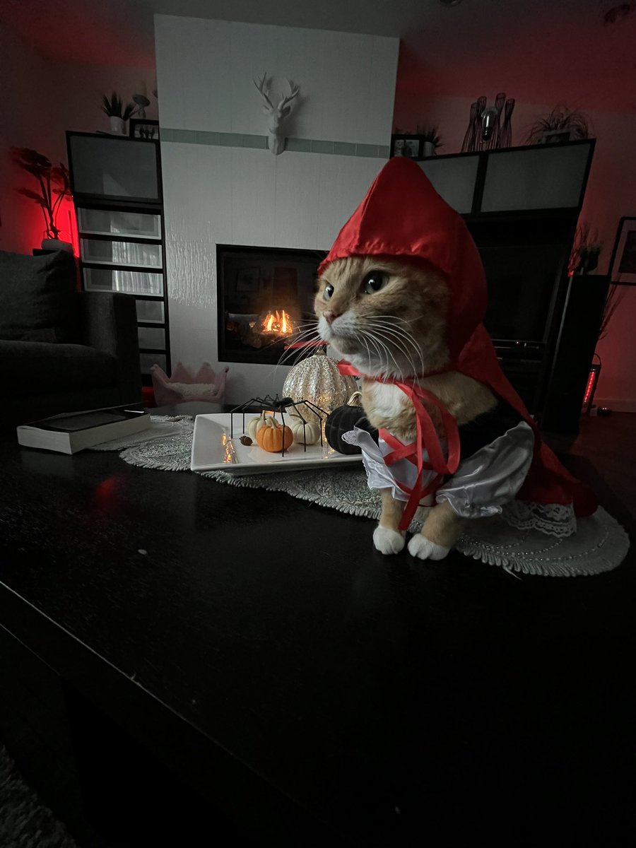 Little Red Riding Hood wishes everyone a Happy Halloween! 
<a href="/thechrisbarron/">Chris Barron</a> #HappyHalloween