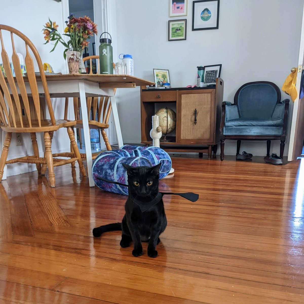 ari (@oooiiooiiooo) on Twitter photo 