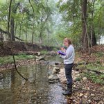 When you think of a river, you might imagine a mighty body of water. But most miles of river are small headwater streams. 35% of these streams dry out during the year. @UArkansas scientists are studying how these small streams affect lakes & reservoirs: news.uark.edu/articles/66251…