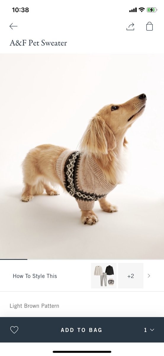chlooehundley's tweet photo. Losing my mind at how Abercrombie is suggesting wearing a dog sweater with human clothes. Show me the dog in the outfit suggestion I am BEGGING little dog big pants could bring world peace https://t.co/q1OjIM0wtq